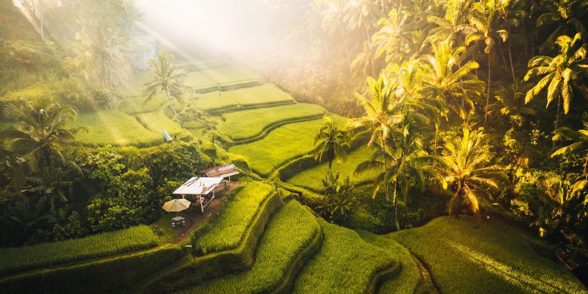 O que fazer em Bali