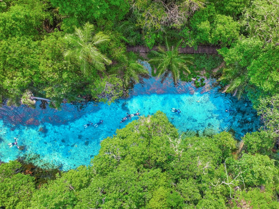 Flutuação na Nascente Azul, em Bonito (Turismo Consciente)