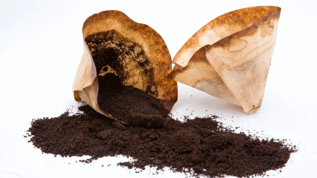 borra de café