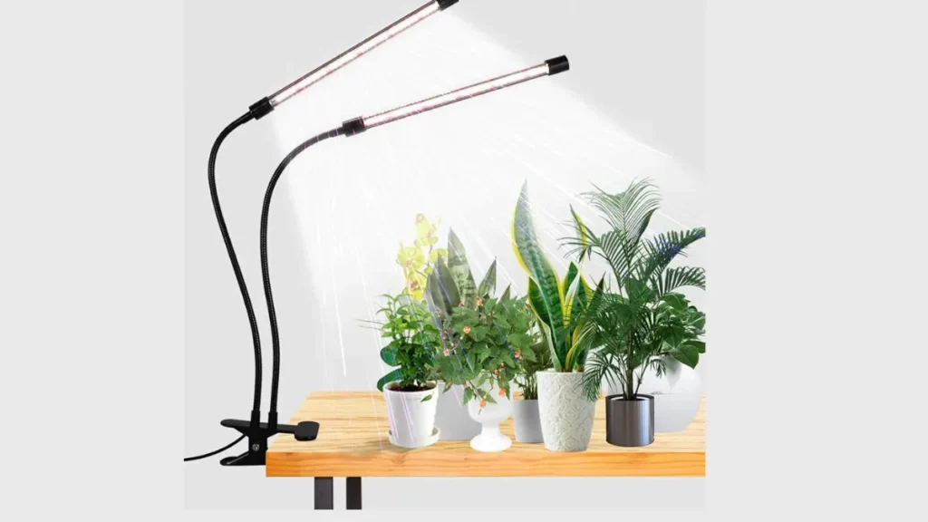 Lâmpada LED para plantas - Plantas Indoor sem espaço