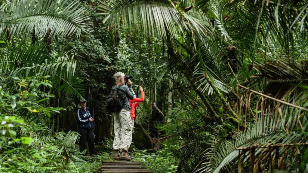 Como Planejar sua Viagem Ecológica