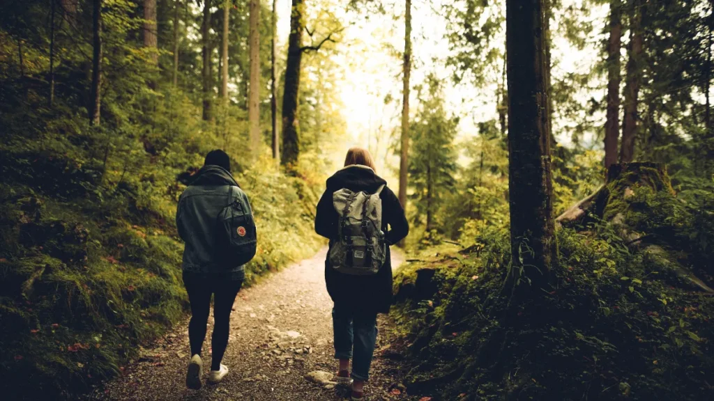 Como Planejar sua Viagem Ecológica