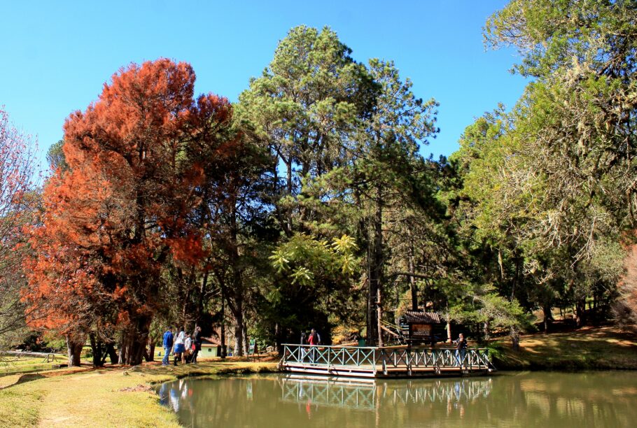 O Horto Florestal de Campos do Jordão é passeio imperdível