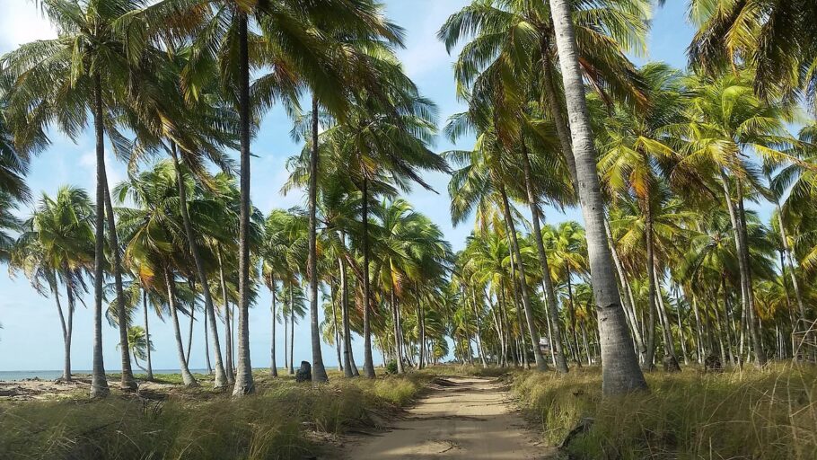 Litoral norte de Alagoas tem paraíso (quase) secreto
