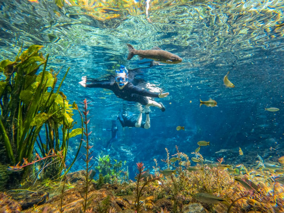 Nascente Azul em Bonito (MS) é o destino perfeito!