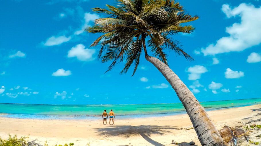 Litoral norte de Alagoas tem paraíso (quase) secreto