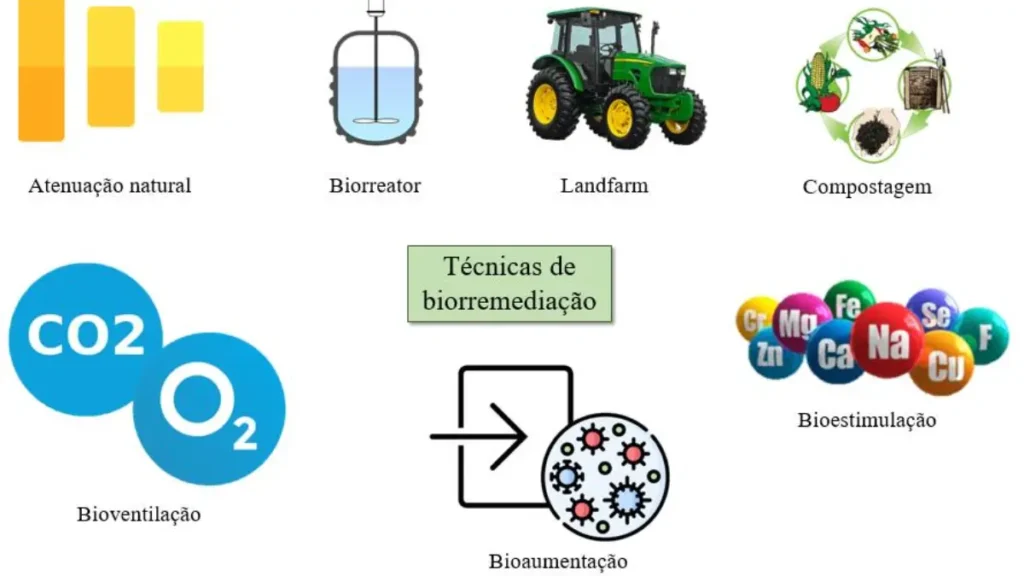 Biorremediação