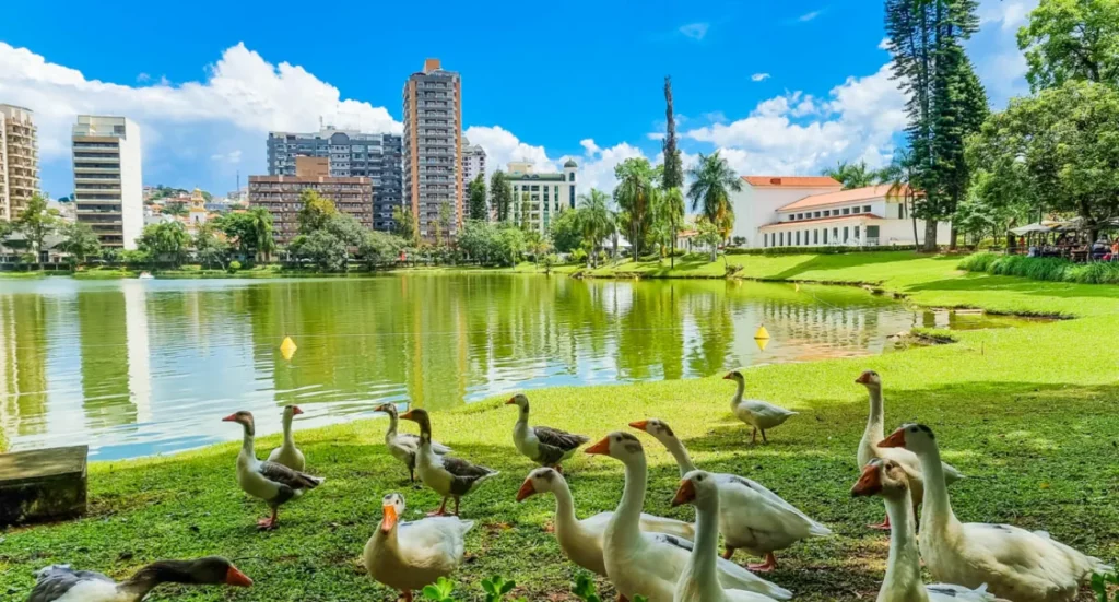 São Lourenço - Lagoa