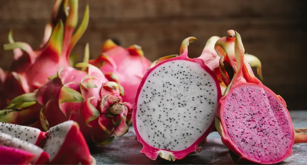 Como plantar pitaya em vaso