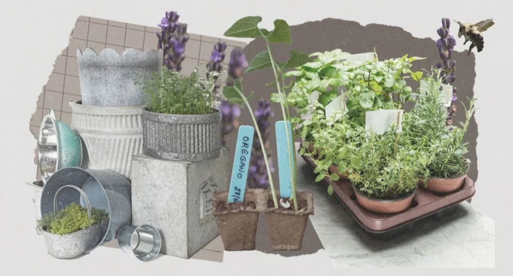 herb garden