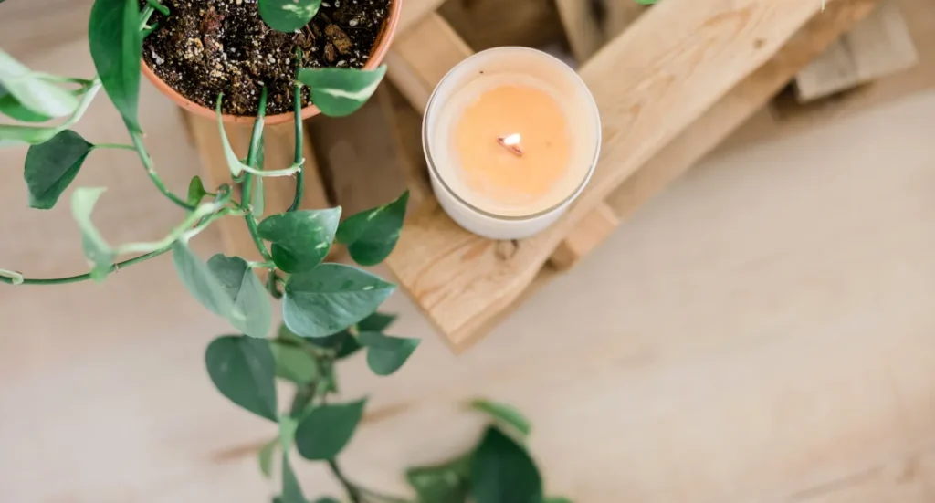 Homemade Candles