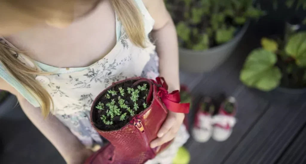 Sustainable container gardening