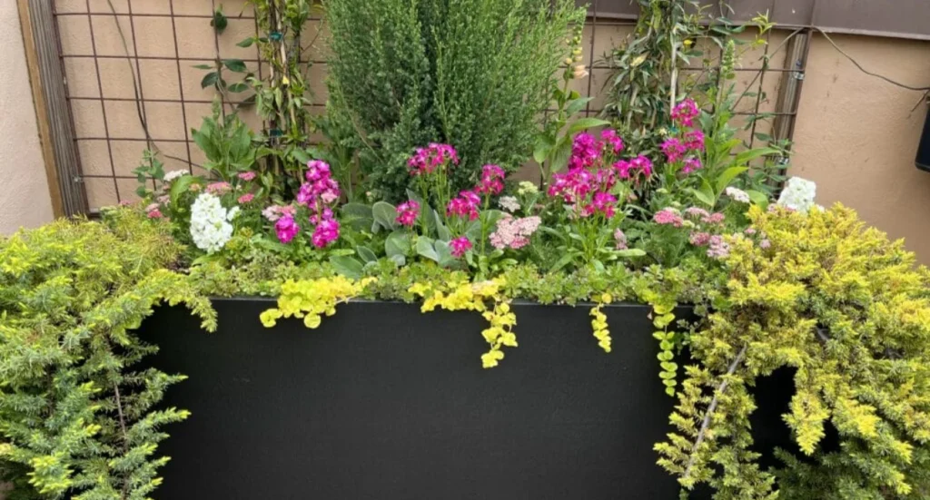 Sustainable container gardening