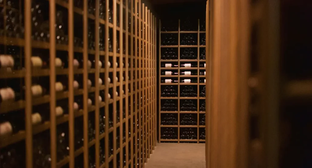 Wine cellar setup